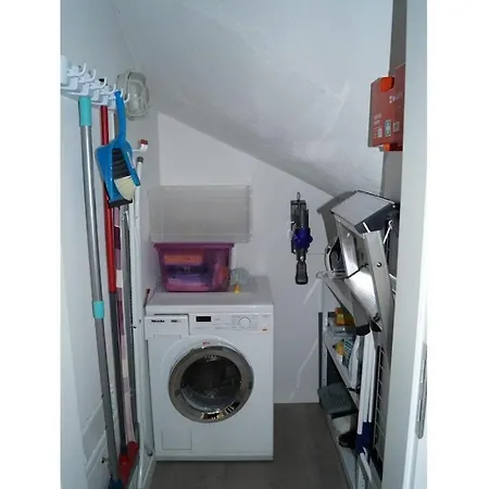 Timeless - Now Available At Our Store! * לנגאוג