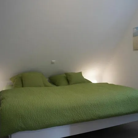 Timeless - Now Available At Our Store!