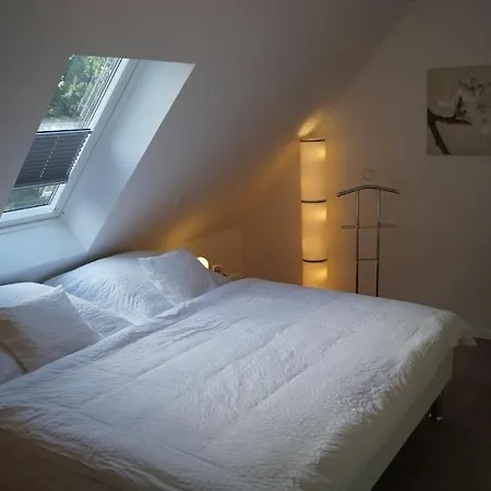 Timeless - Now Available At Our Store! *